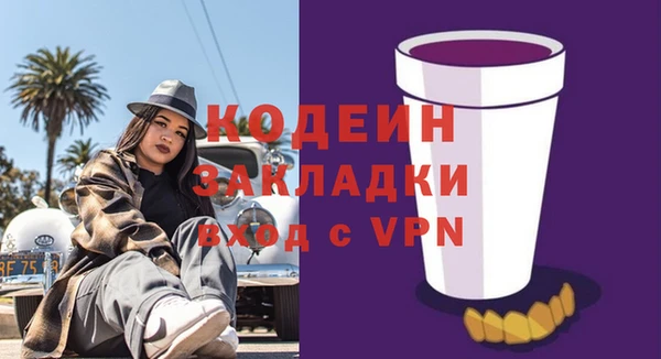 индика Баксан