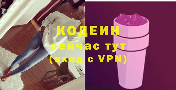 индика Баксан