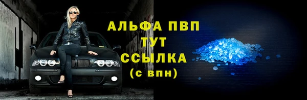 индика Баксан