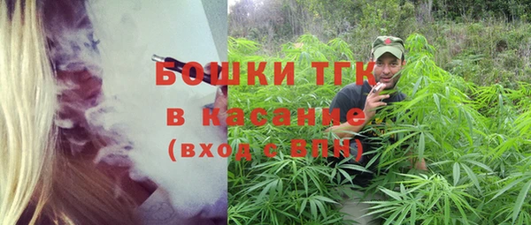 индика Баксан