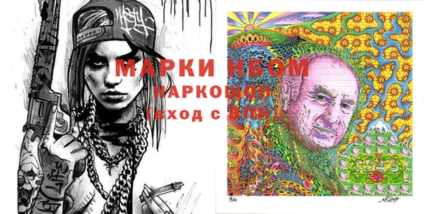 индика Баксан