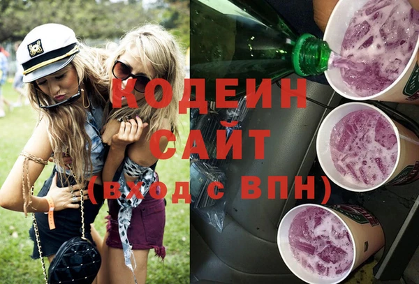 индика Баксан