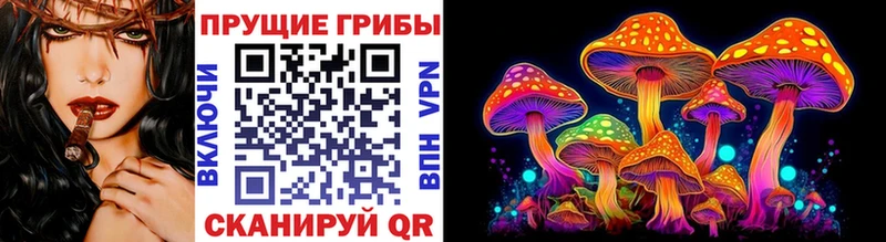 Галлюциногенные грибы GOLDEN TEACHER  Геленджик 